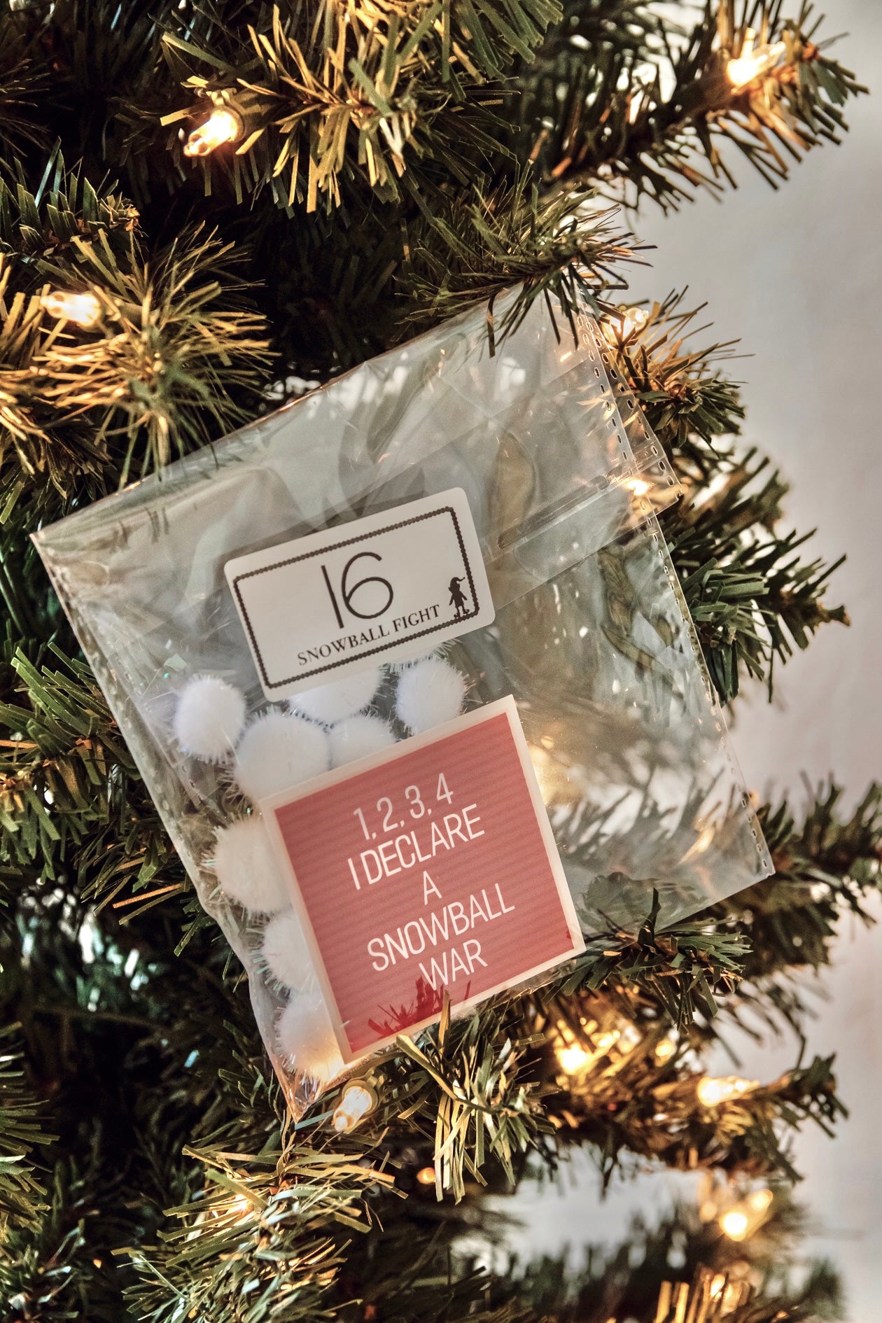 2022 - 24 Day Elf Kit