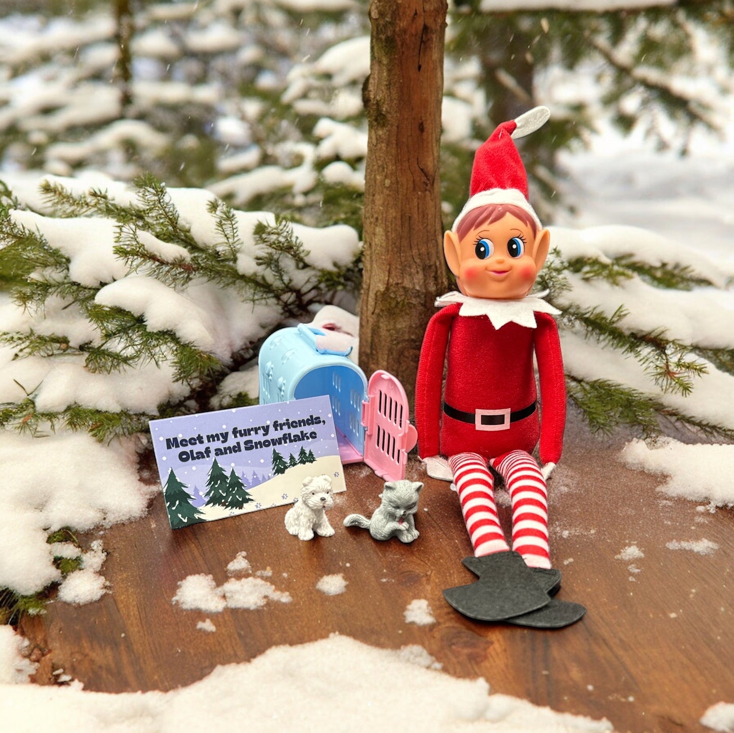 The Adventure Awaits 12 Day Elf Kit