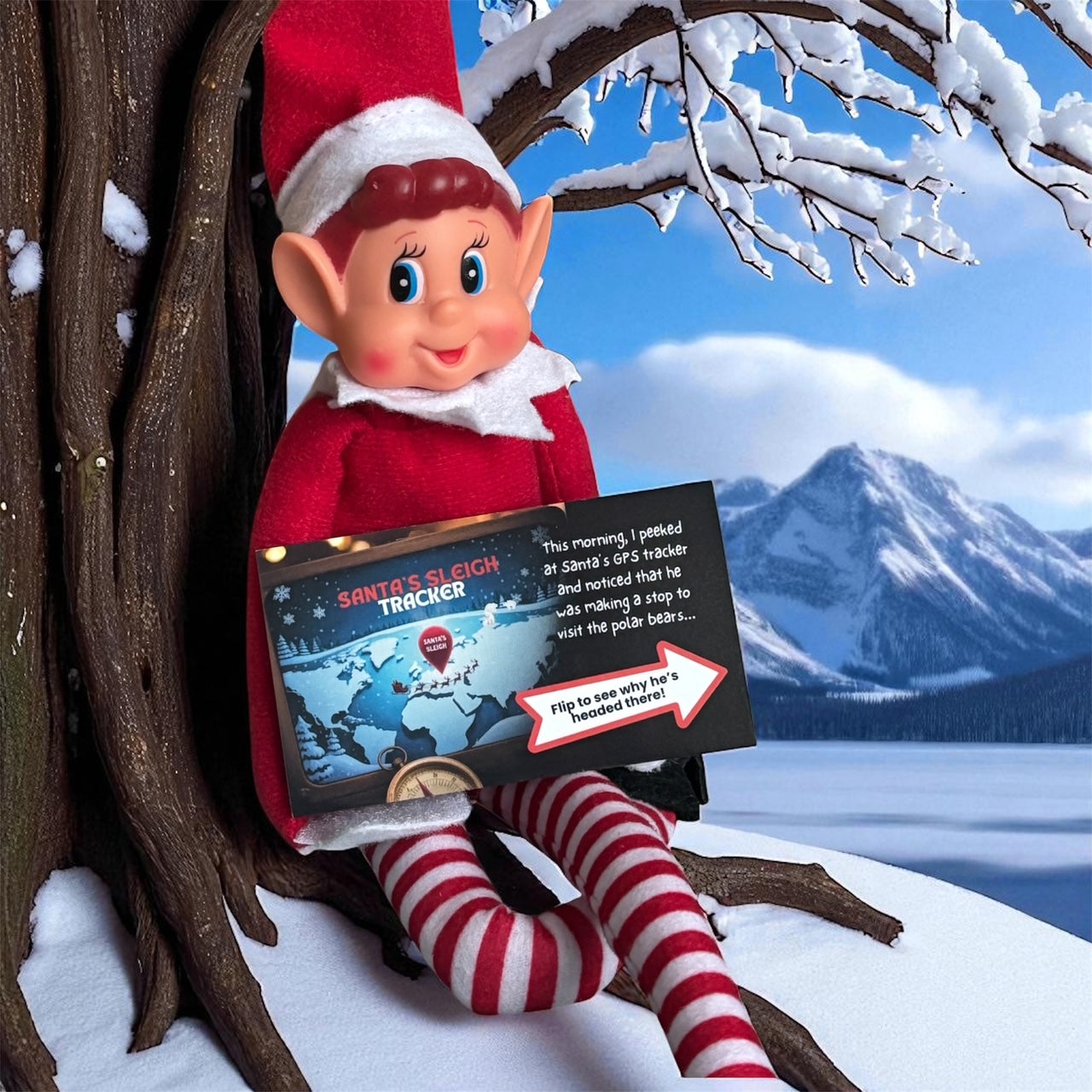 Preorder 2025 - 27 Day Elf Kit