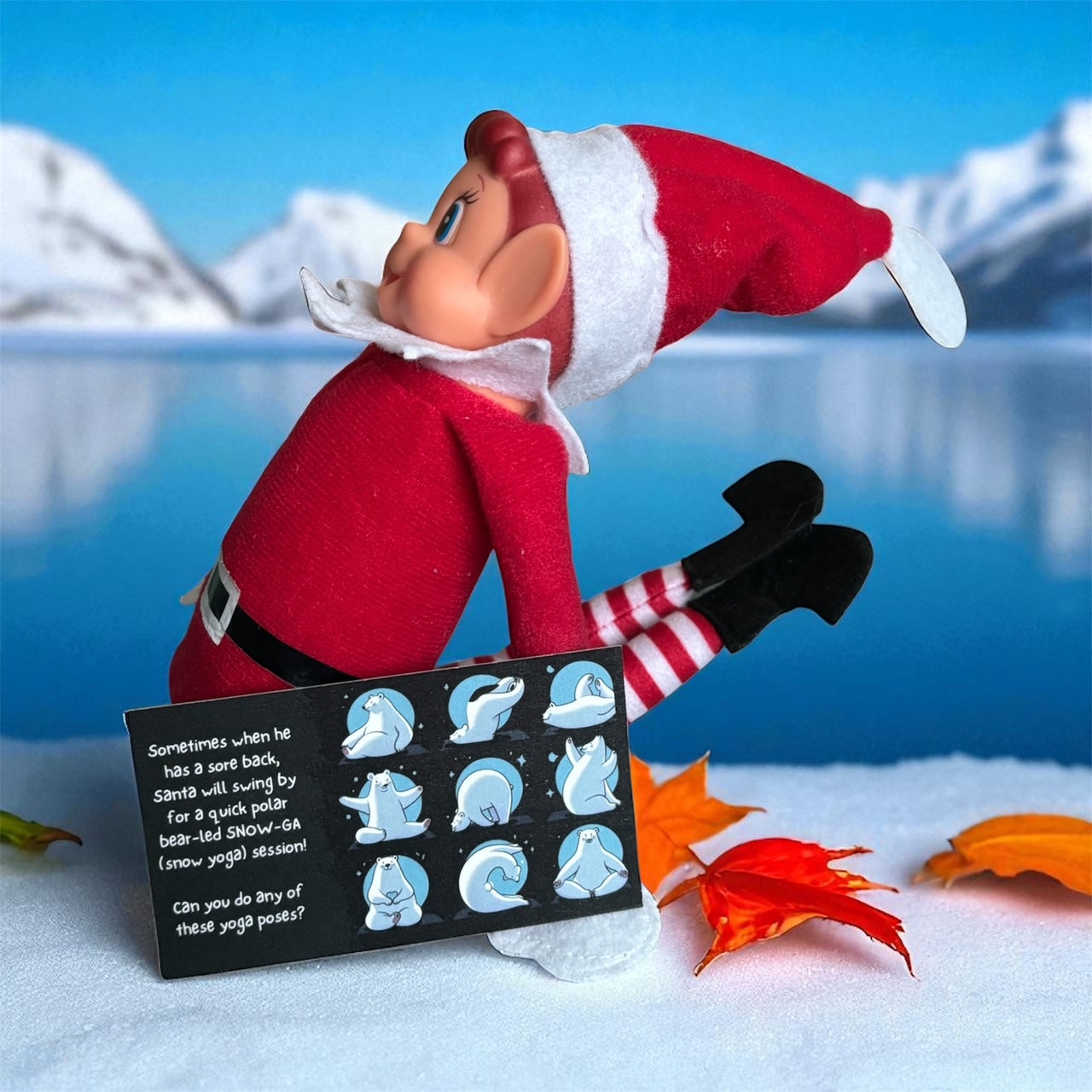 Preorder 2025 - 27 Day Elf Kit