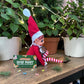 The Tiny Traditions 24 Day Elf Kit - 2026 Edition