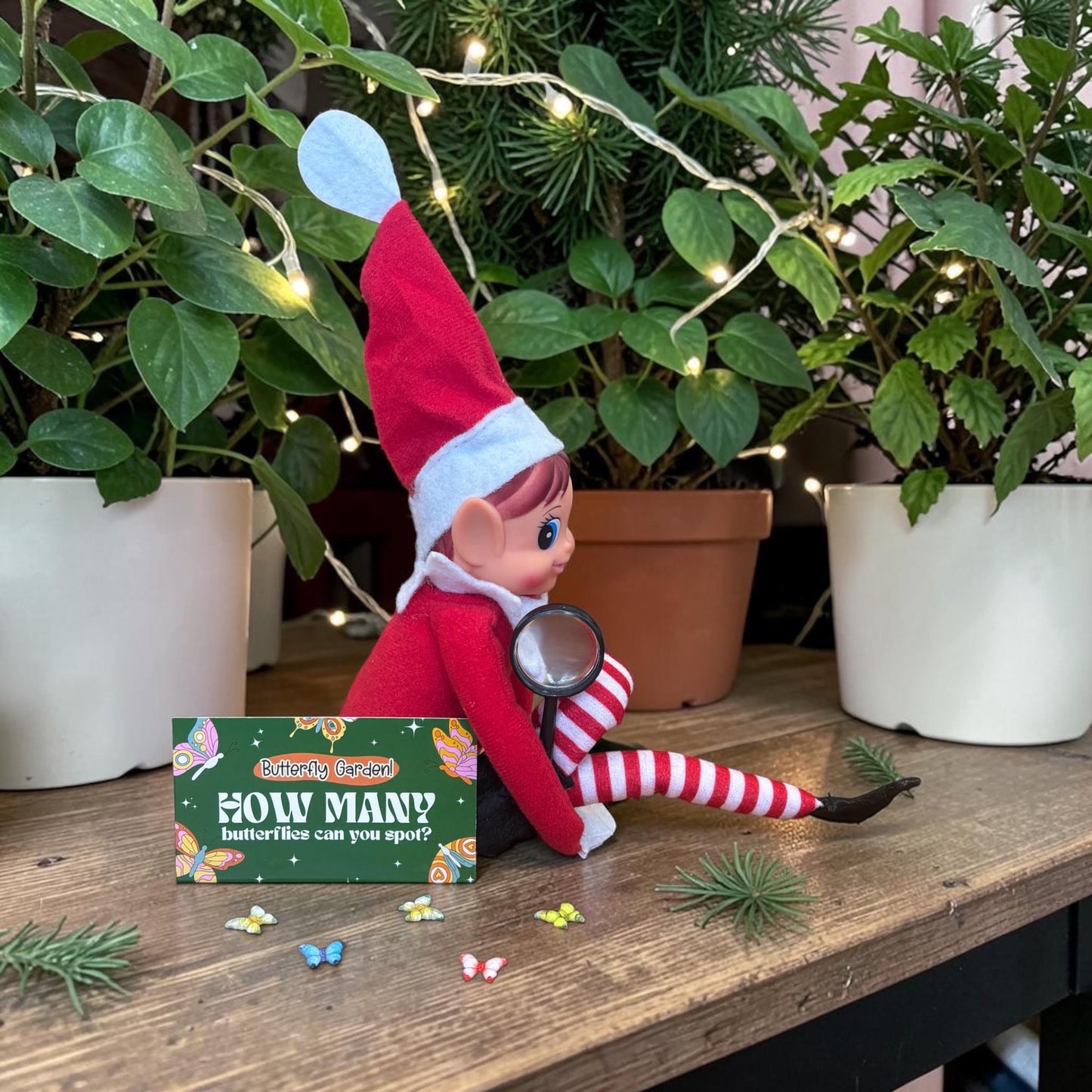 The Tiny Traditions 24 Day Elf Kit - 2026 Edition