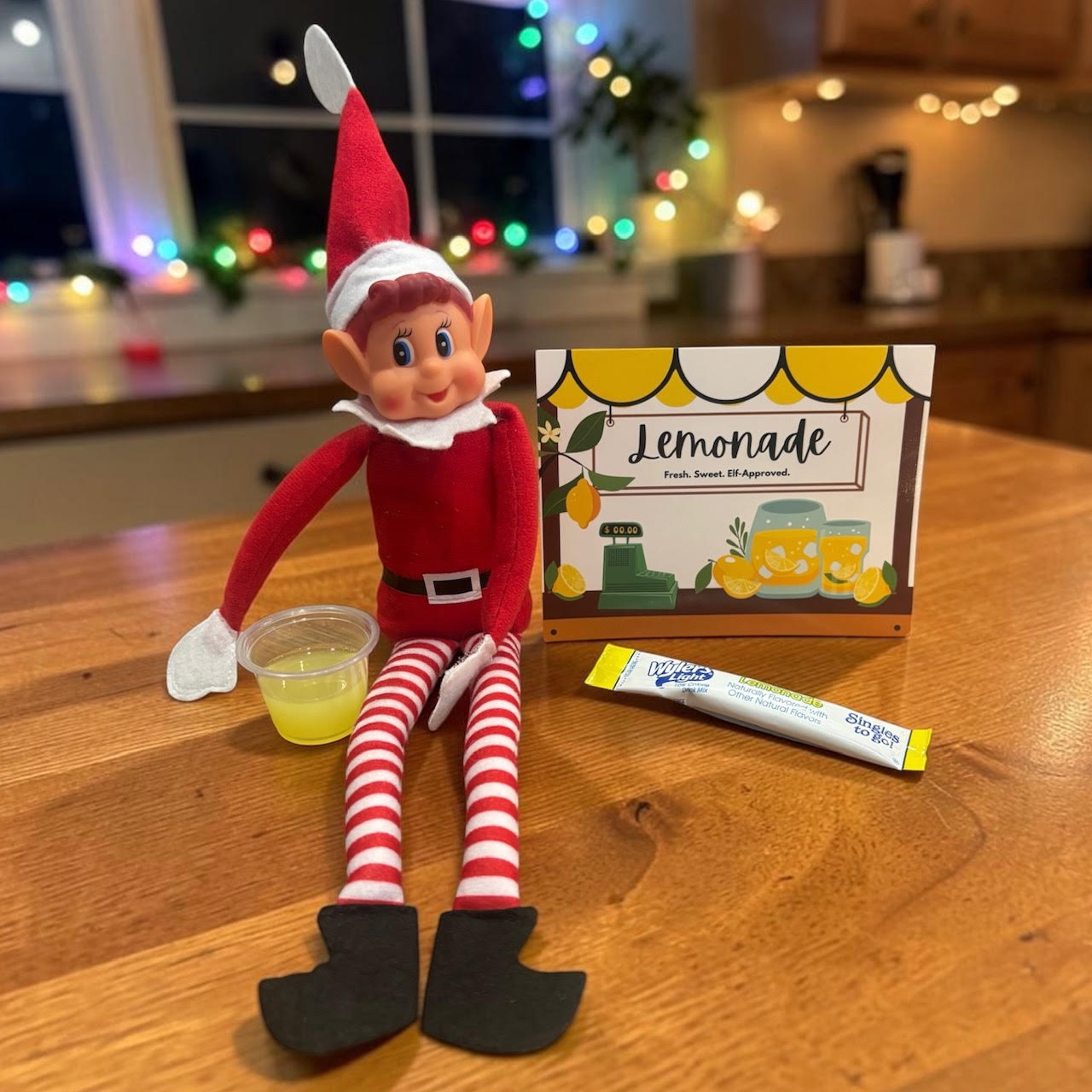 The Tiny Traditions 24 Day Elf Kit - 2026 Edition
