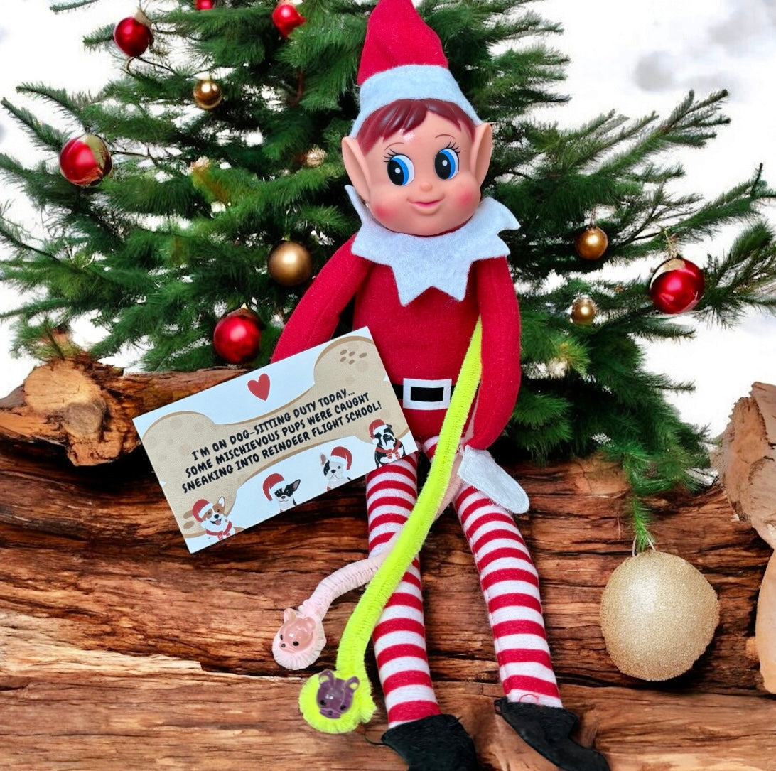 The Effortless 27 Day Elf Kit - NEW!