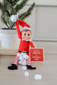 30 Day Elf Kit - Starts the day after Thanksgiving